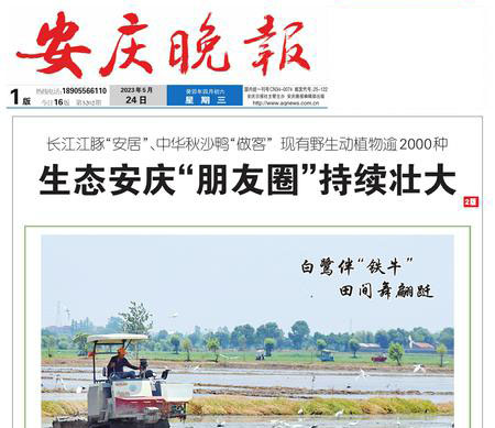 安慶晚報登報掛失遺失聲明公告 安慶晚報登報掛失遺失聲明公告